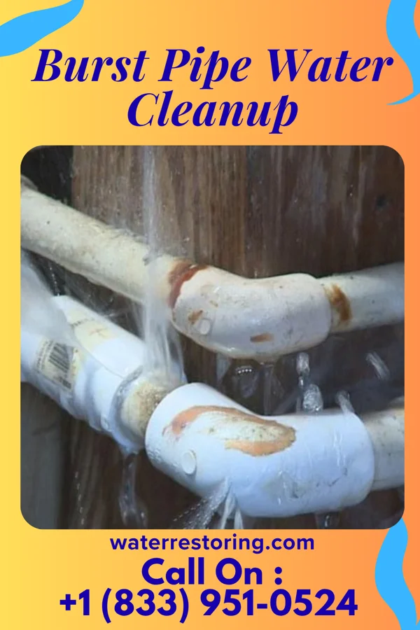 Burst Pipe Water Cleanup in Crows Nest, IN