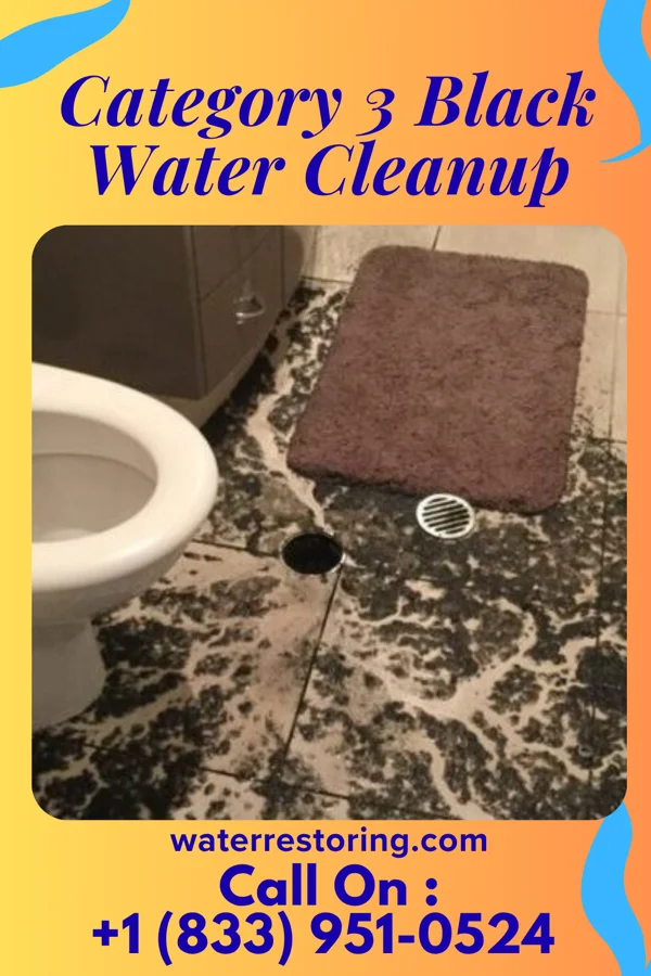 Category 3 Black Water Cleanup in Crows Nest, IN