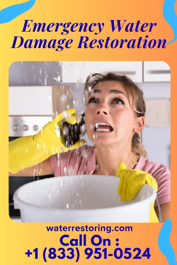 Emergency Water Damage Restoration in Crows Nest, IN