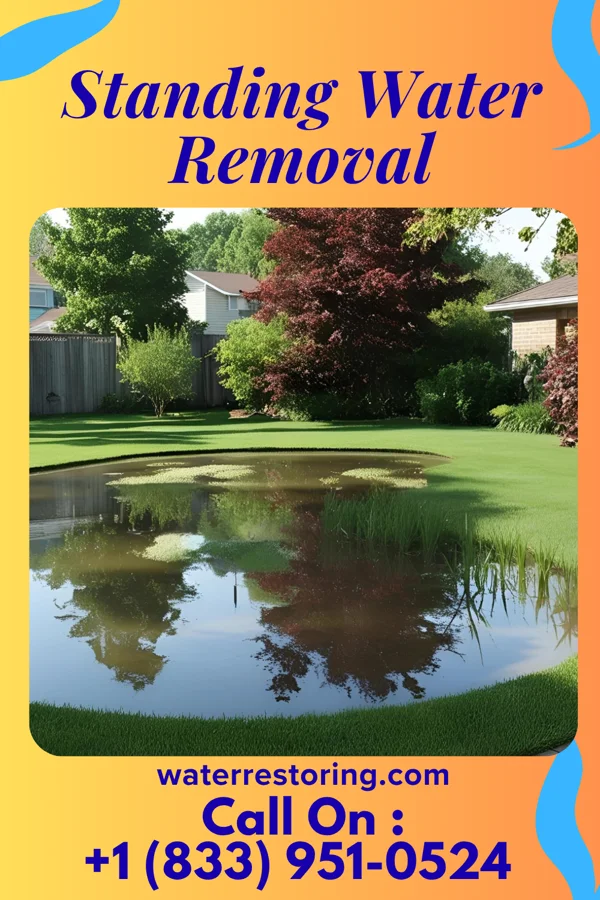 Standing Water Removal in Crows Nest, IN